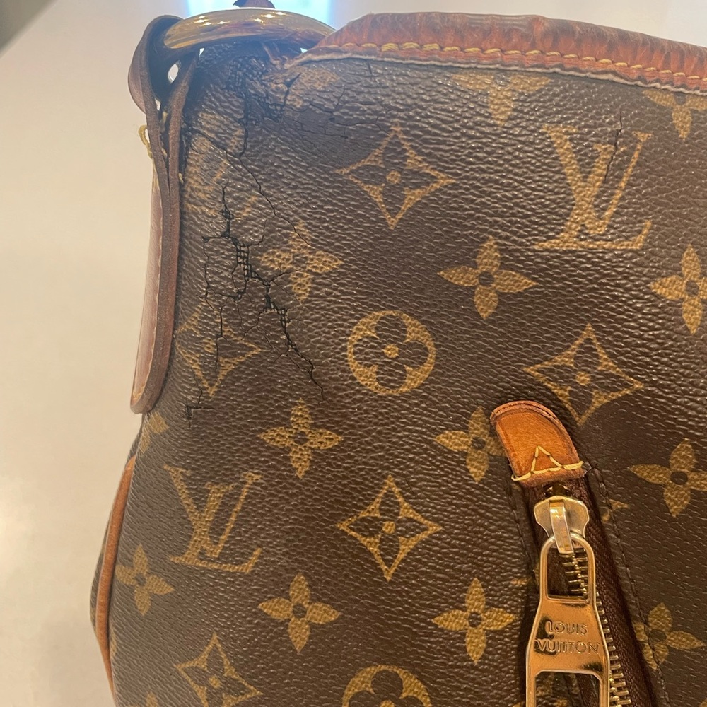 Louis Vuitton Delightful GM.